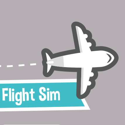 Flight Sim